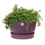 greenville bowl 33cm vintage plum